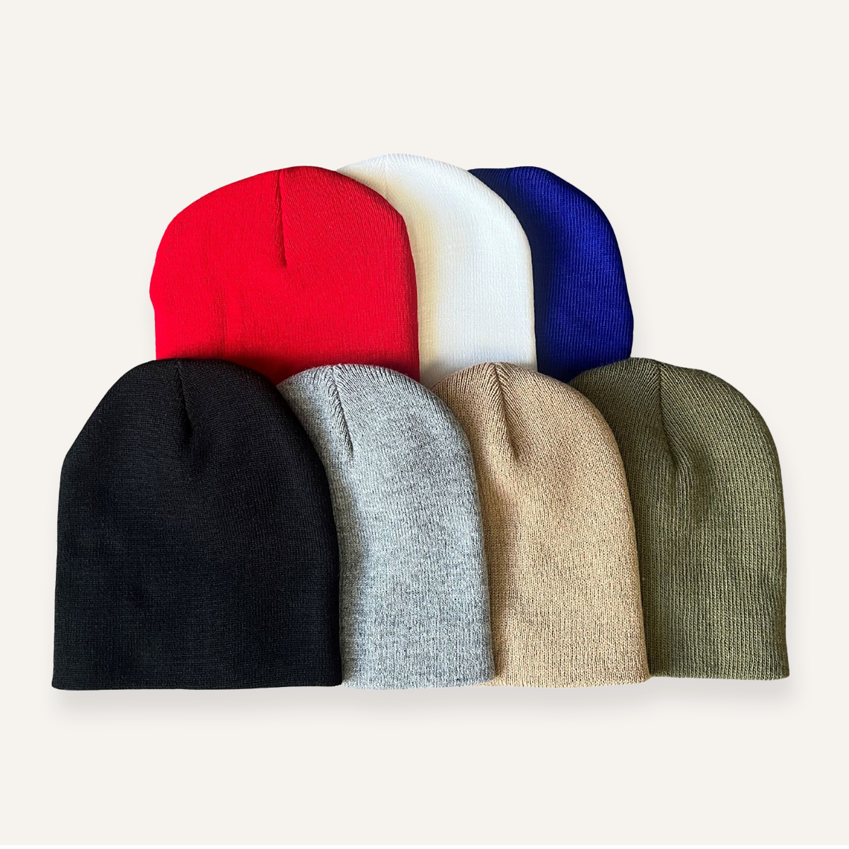 The Flyway Beanie