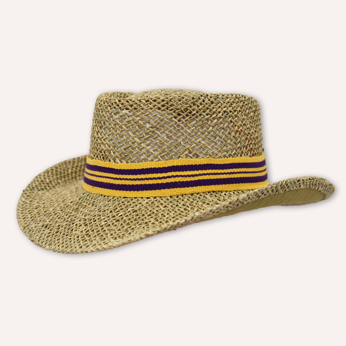 PURPLE & GOLD